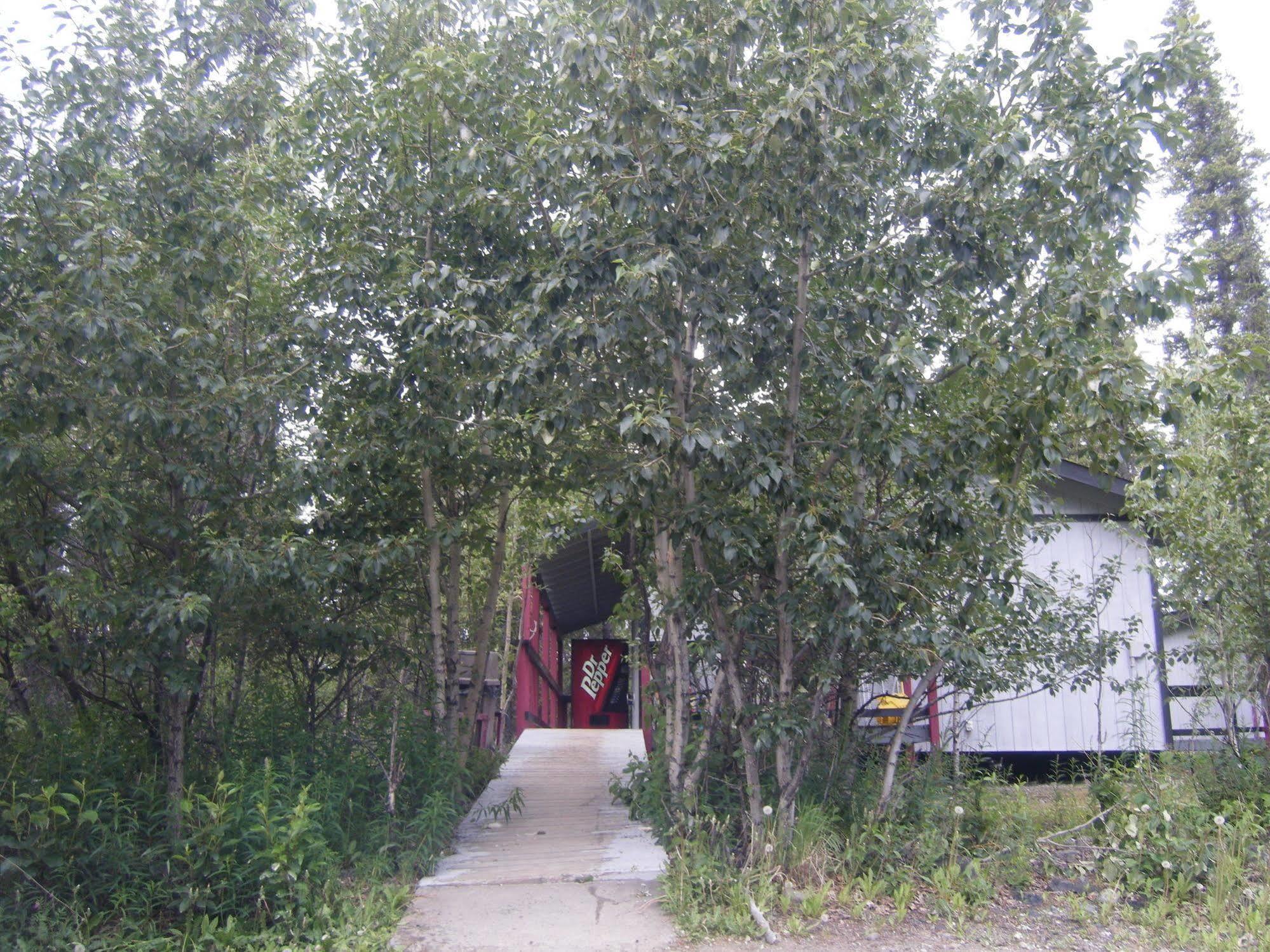 The Perch Resort Denali Park Esterno foto
