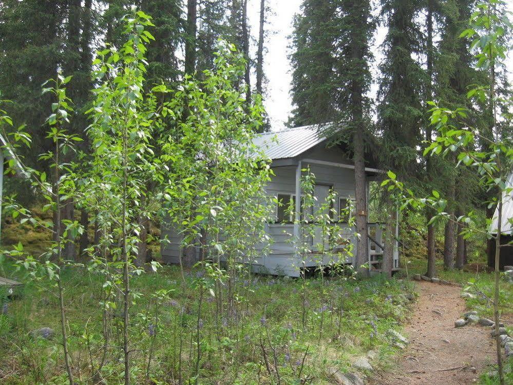 The Perch Resort Denali Park Esterno foto