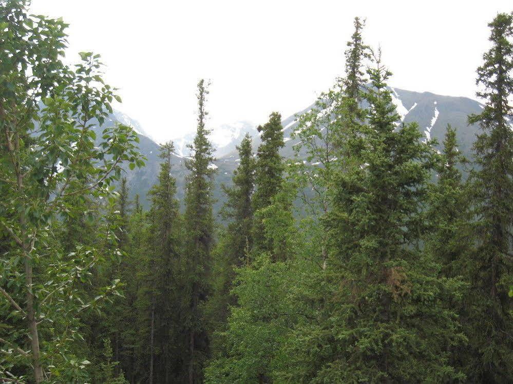 The Perch Resort Denali Park Esterno foto
