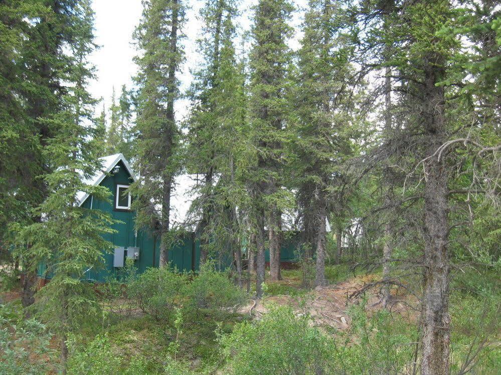 The Perch Resort Denali Park Esterno foto